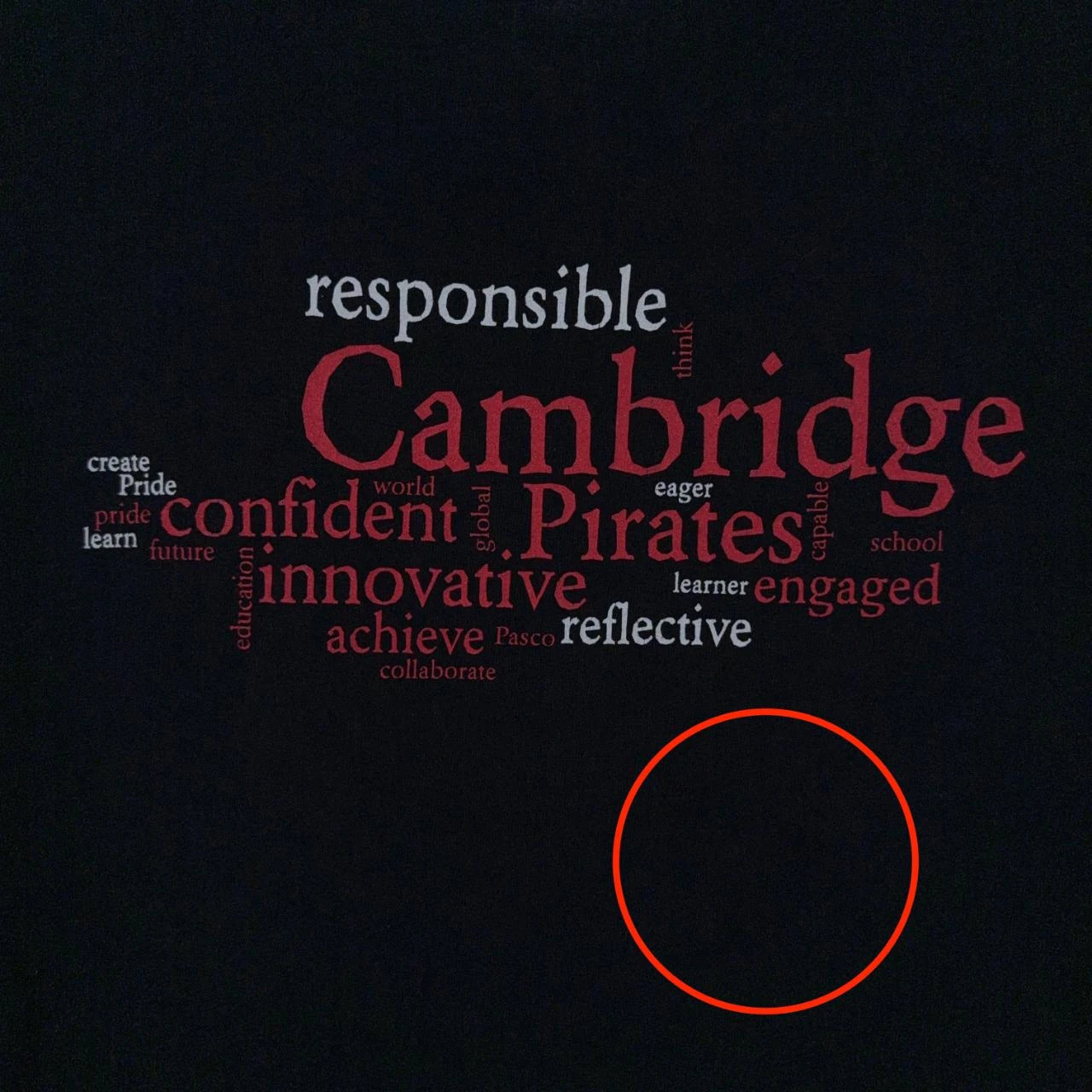 Gildan Cambridge Pirates Grafisch T-shirt Zwart XL – photo 4